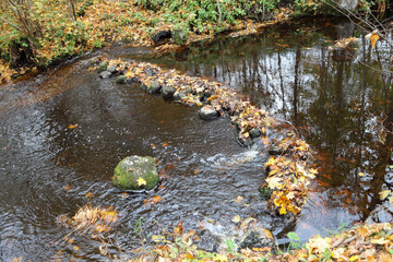Small river stream waterfall obstacle in river with man fallen tree leaves around.