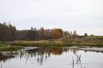 Nature autumn landscape.