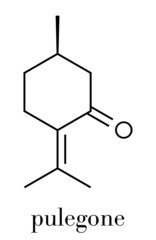 Pulegone molecule. Skeletal formula.