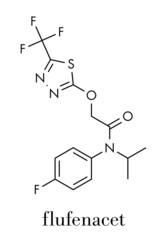 Flufenacet herbicide molecule. Skeletal formula.