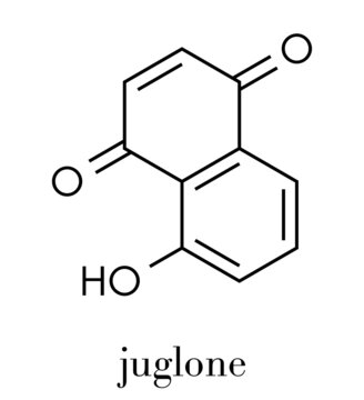 Juglone walnut molecule. Skeletal formula.