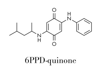 Fototapeta premium 6PPD-quinone, degradation product of the rubber additive 6PPD. Toxic to salmon. Skeletal formula.