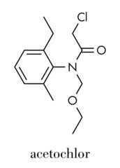 Acetochlor herbicide molecule. Skeletal formula.