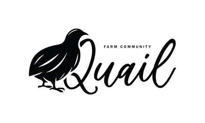 A Cute Quail vector Illustration - Creative logo, icon, symbol, badge, emblem for avian or partridge poultry - obrazy, fototapety, plakaty