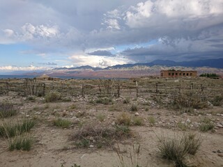 nature, love, landscapes