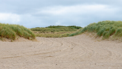 Vue sur le paysage d& 39 été du chemin de la plage de sable entre les dunes de la côte néerlandaise de la mer du Nord avec de l& 39 herbe marram européenne (herbe de plage) le long de la digue sous un ciel bleu clair, Noord Holland, Pays-Bas.