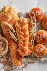 Golden buns and challahs freshly baked in home bakery.