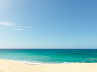 Fototapeta na wymiar 南の島のトロピカルなビーチ