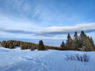 Fototapeta na wymiar Winter view near Platoto area at Vitosha Mountain, Bulgaria