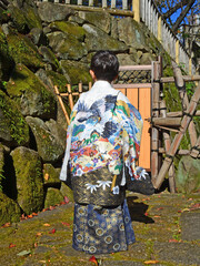 Tradition japan Kimono boy