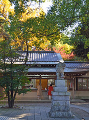 Tokyo Temple Spirit