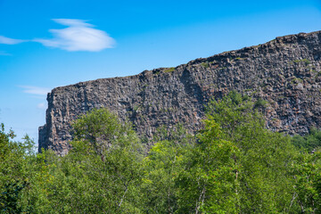 Fototapeta na wymiar The rocks and forest of Asbyrgi in Vatnajokull national park in Iceland