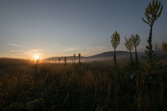 Good morning pandorra, a rural sunrise in the morning mist. © Matthias