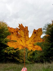 Fototapeta na wymiar Autumn