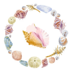 Vector illustration of round watercolor composition of seashells isolated on white background.