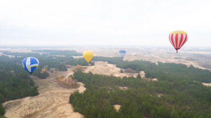 Air baloon flying above the green forest and sand of desert