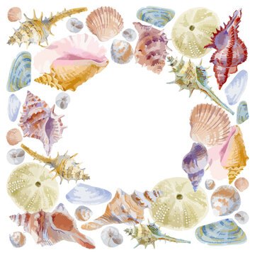 Vector illustration of  watercolor frame composition of seashells isolated on white background.