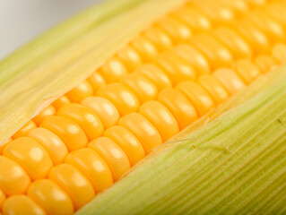 Corn Texture Close Up Sweet Corn on the Cob, Ingredient Prepare for Organic Food