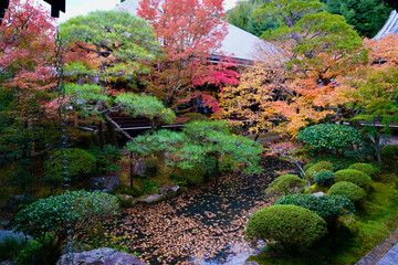 【京都】禅林寺の紅葉（秋）