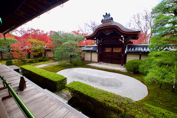 Obraz premium 【京都】禅林寺の紅葉（秋）
