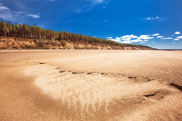 The coast of the Novosibirsk Ob reservoir. Western Siberia