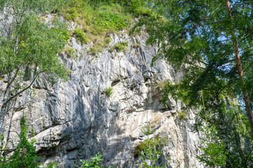mountain peaks overgrown with green coniferous forest. warm summer day
