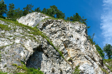 mountain peaks overgrown with green coniferous forest. warm summer day