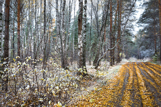 Autumn landscape