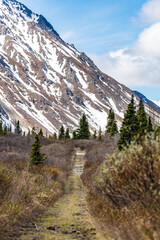 Hiking trail in northern Canada with magnificent mountain peak view in background. Taken in May, spring time in Yukon Territory, Canada. 