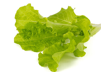 Freshness green leaf lettuce, isolated on white background