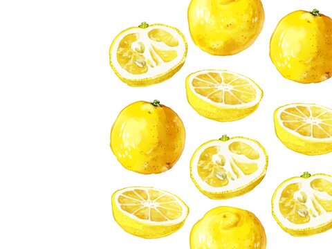 花柚子images Browse 134 Stock Photos Vectors And Video Adobe Stock