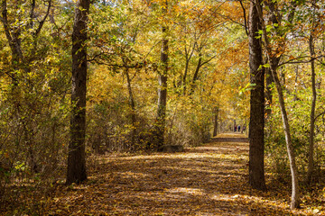Fall color of the nature trail in Chickasaw National Recreation Area