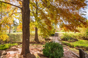 Fototapeta premium Beautiful fall color of the Will Rogers Gardens