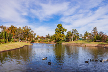 Beautiful fall color of the Will Rogers Gardens