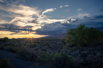 The beautiful view cloudy sky, bright green tree on a landscape background in somewhere Colorado. The incredibly colorful background