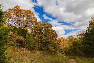 Fall color of the Osage Hills State Park