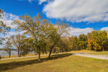 Fall color near the Eagle view Trail