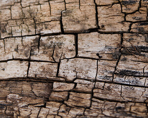 Brown unpainted natural wood for background and texture.  Wood texture. Old wood background.