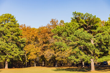 Fototapeta na wymiar Nature autumn fall color of Greenleaf State Park