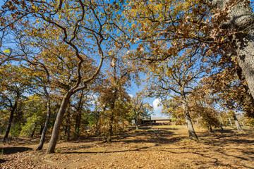 Fototapeta premium Fall color of the Osage Hills State Park