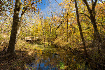 Fototapeta na wymiar Fall color of the nature trail in Chickasaw National Recreation Area