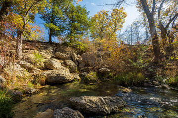 Fall color of the nature and Antelope Springs