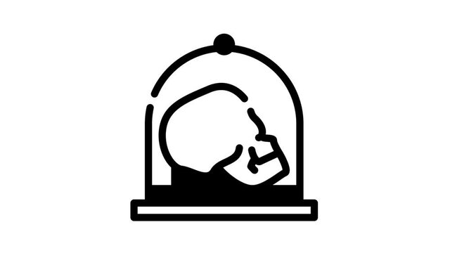 Museum Exhibits And Excursion line icon animation. Museum Cctv And Audio Guide, Coins And Skull, Dinosaur Egg And Meteorite, Statue And Pottery
