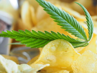 Fototapeta na wymiar crispy chips and cannabis leaves