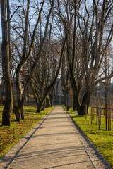 Beautiful walking path in a park on a sunny autumn day with bare trees, light posts, sun and many shadows. 