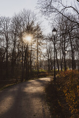 Beautiful walking path in a park on a sunny autumn day with bare trees, light posts, sun and many shadows. 