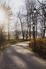 Beautiful walking path in a park on a sunny autumn day with bare trees, light posts, sun and many shadows. 