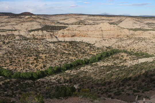 Boulder Creek With Green Cottonwoods In Escalante Utah