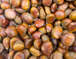 Natural Sweet Organic Autumn Season Fruit Chestnuts