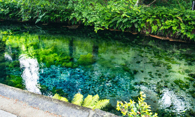 新鮮な水が生まれる風景